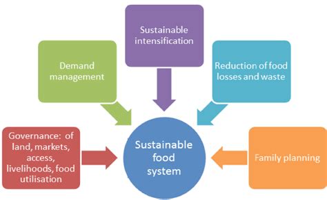 intensification strategy meaning.